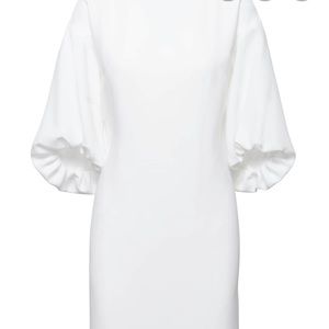 Banana Republic Dress with Balloon Sleeves